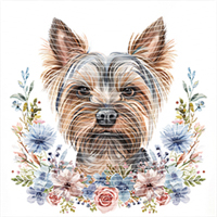 Animal Integration-DW 438